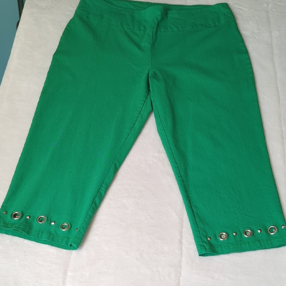 Zac & Rachel Vibrant Green Pants